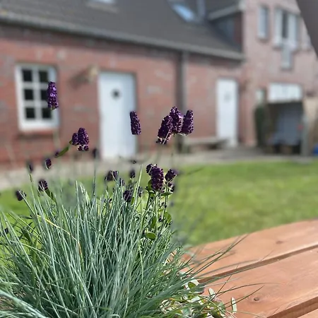 Anneliese Blumenwiese